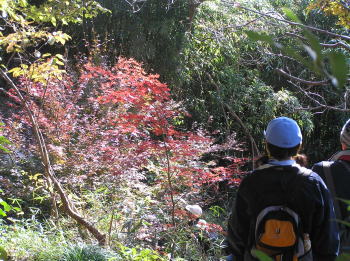 広町の森出口付近