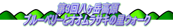 「第3回 八ヶ岳高原ブルーベリーとオオムラサキの里ウォーク」