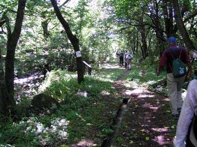 自然観察路を行く