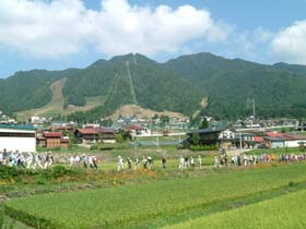流葉スキー場