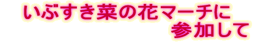 いぶすき菜の花マーチに参加して