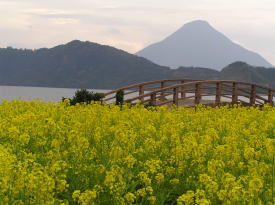 池田湖畔より