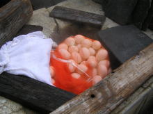 鰻温泉