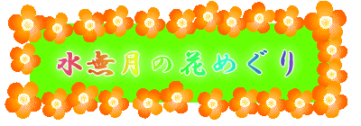 水無月の花めぐり
