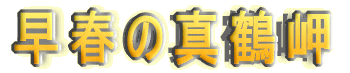 早春の真鶴岬