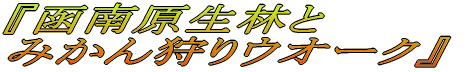 『函南原生林と みかん狩りウオーク』