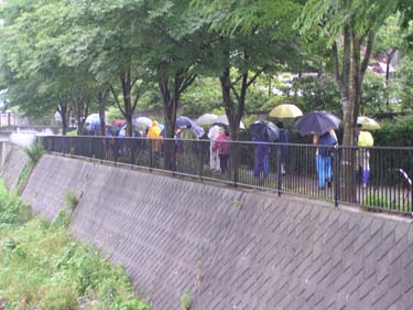 いたち川を遡る