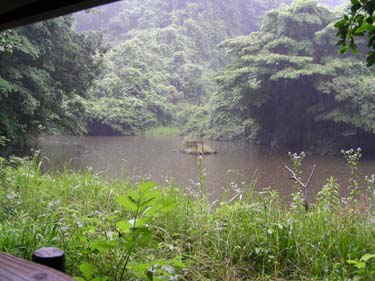 水源・ミズキの池
