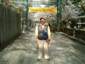 金毘羅宮の満開の桜