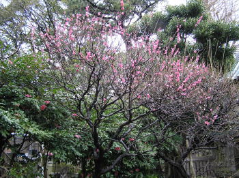 常立寺