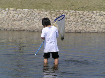 公園の池