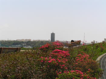 東俣野中央公園
