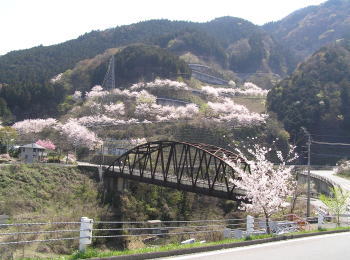 諸山橋を望む