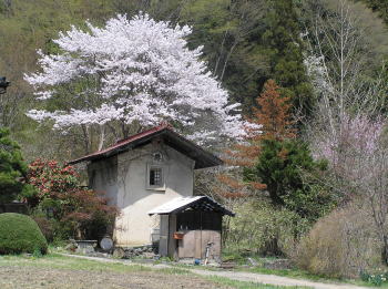 土蔵と満開の桜