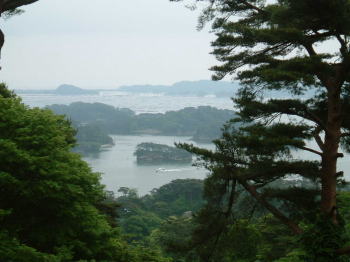西行戻しの松公園から望む松島湾