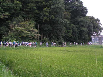 石川の道