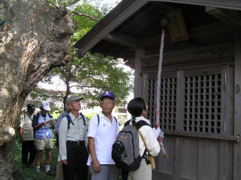 藤稲荷