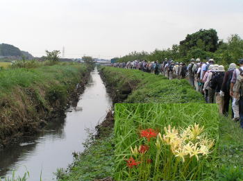 小出川土手道を行く