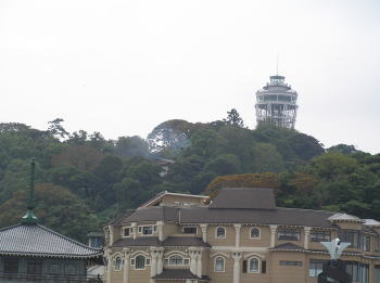 展望台を望む