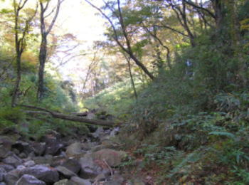 来光川の上流か