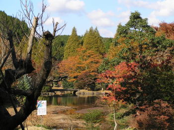 紫水の池の紅葉