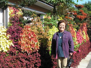 M邸の花御殿