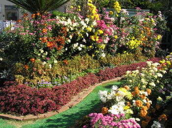 富岡桜ヶ丘町内会館入口の花壇