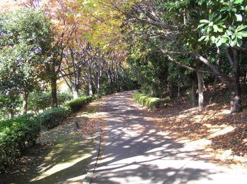金沢緑道