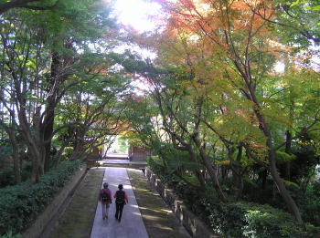 山門奥参道