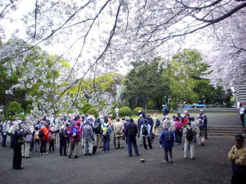 八幡山公園での出発式
