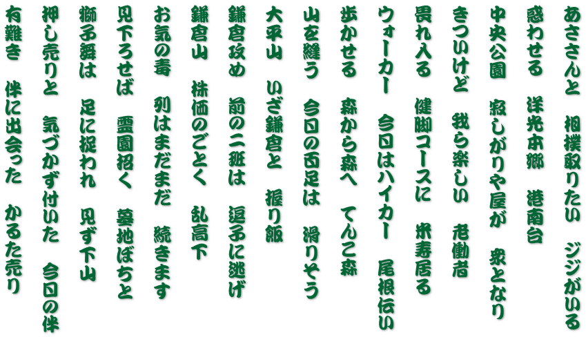 あささんと　相撲取りたい　ジジがいる   惑わせる　洋光本郷　港南台   中央公園　寂しがりや屋が　衆となり   きついけど　我ら楽しい　老働者  畏れ入る　健脚コースに　米寿居る  ウォーカー　今日はハイカー　尾根伝い   歩かせる　森から森へ　てんこ森   山を縫う　今日の百足は　滑りそう   大平山　いざ鎌倉と　握り飯   鎌倉攻め　前の二班は　逗子に逃げ  鎌倉山　株価のごとく　乱高下   お気の毒　列はまだまだ　続きます   見下ろせば　霊園招く　墓地ぼちと  獅子舞は　足に捉われ　見ず下山  押し売りと　気づかず付いた　今日の伴   有難き　伴に出会った　かるた売り