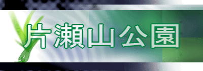 片瀬山公園