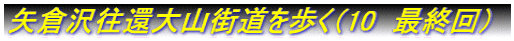 矢倉沢往還大山街道を歩く(8)