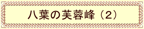 t̕u iQj