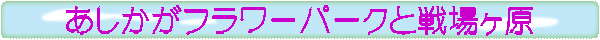 あしかがフラワーパークと戦場ヶ原