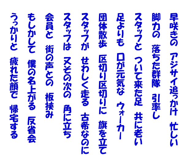 　　早咲きの　アジサイ追っかけ　忙しい   　　脚力の　落ちた群隊　引率し   　　スタッフと　ついて来た足　共に老い   　　足よりも　口が元気な　ウォーカー   　　団体散歩　区切り区切りに　旗を立て   　　スタッフが　せわしく走る　古希なのに   　　スタッフは　又その次の　角に立ち   　　会員と　街の声との　板挟み   　　もしかして　僕の名上がる　反省会   　　うっかりと　疲れた顔で　帰宅する  