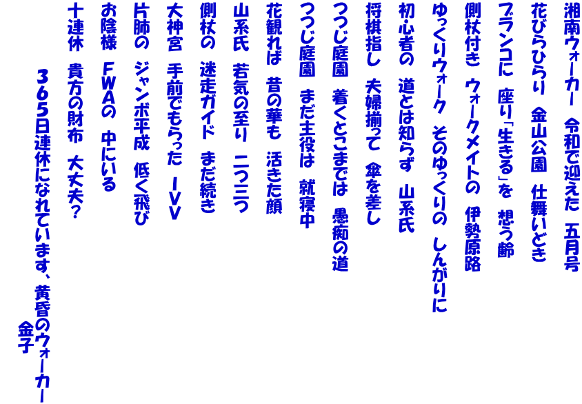 湘南ウォーカー　令和で迎えた　五月号   花びらひらり　金山公園　仕舞いどき   ブランコに　座り「生きる」を　想う齢   側杖付き　ウォークメイトの　伊勢原路   ゆっくりウォーク　そのゆっくりの　しんがりに   初心者の　道とは知らず　山系氏   将棋指し　夫婦揃って　傘を差し   つつじ庭園　着くとこまでは　愚痴の道   つつじ庭園　まだ主役は　就寝中   花観れば　昔の華も　活きた顔   山系氏　若気の至り　二つ三つ   側杖の　迷走ガイド　まだ続き   大神宮　手前でもらった　ＩＶＶ   片肺の　ジャンボ平成　低く飛び   お陰様　ＦＷＡの　中にいる   十連休　貴方の財布　大丈夫？   　　　　　　３６５日連休になれています、黄昏のウォーカー 　　　　　　　　　　　　　　　　　　　　　　　　　　　　　金子 