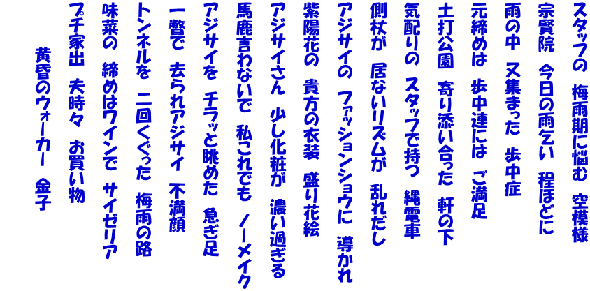 スタッフの　梅雨期に悩む　空模様   宗賢院　今日の雨乞い　程ほどに   雨の中　又集まった　歩中症   元締めは　歩中連には　ご満足   土打公園　寄り添い合った　軒の下   気配りの　スタッフで持つ　縄電車   側杖が　居ないリズムが　乱れだし   アジサイの　ファッションショウに　導かれ   紫陽花の　貴方の衣装　盛り花絵   アジサイさん　少し化粧が　濃い過ぎる   馬鹿言わないで　私これでも　ノーメイク   アジサイを　チラッと眺めた　急ぎ足   一瞥で　去られアジサイ　不満顔   トンネルを　二回くぐった　梅雨の路   味菜の　締めはワインで　サイゼリア   プチ家出　夫時々　お買い物   　　　　黄昏のウォーカー　金子  