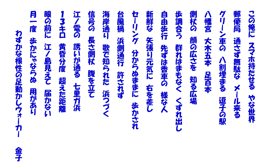 　　この俺に　スマホ持たせる　やな世界   　　郵便局　通さず無駄な　メール来る   　　グリーン車の　八割埋まる　逗子の駅   　　八幡宮　大木五本　足百本   　　側杖の　顔の広さを　知る広場   　　歩調合う　群れはまもなく　くずれ出し　   　　自由歩行　先ずは香車の　様な人   　　新鮮な　矢張り元気に　右を差し   　　セーリング　分からぬままに　歩かされ   　　台風禍　浜側通行　許されず   　　海岸通り　歌で知られた　浜つづく   　　信号の　長さ側杖　腹を立て   　　江ノ電の　誘いが通る　七里ガ浜   　　１３キロ　黄昏分度　超えた距離   　　眼の前に　江ノ島見えて　届かない   　　月一度　歩かにゃならぬ　用があり   　　　　　　わずかな根性の足動かしウォーカー　　金子   